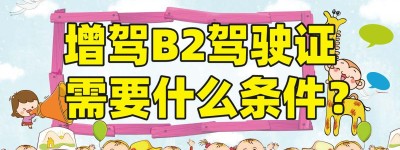 芜湖考B2驾照哪个驾校好？b2科目二考试视频
