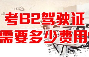 阳江增驾b2要多少钱？b2科目二考试视频